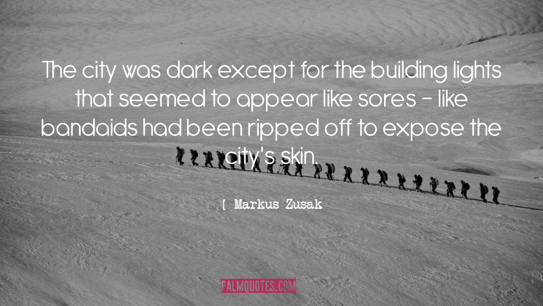 Sores quotes by Markus Zusak