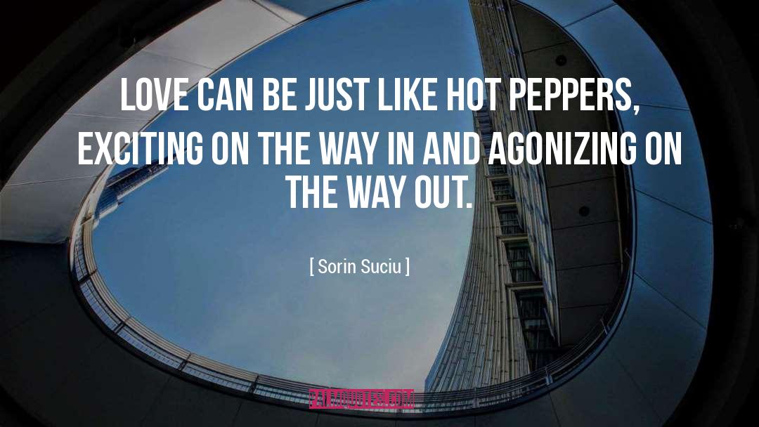 Sorin quotes by Sorin Suciu