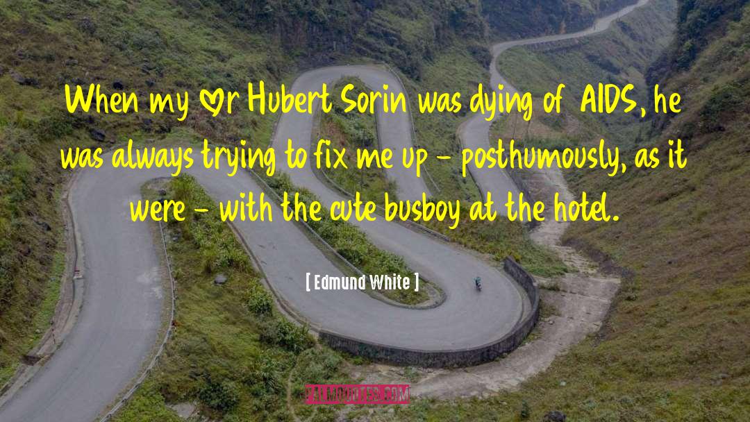 Sorin quotes by Edmund White