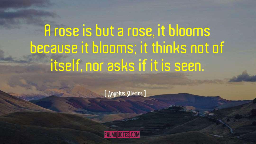 Soriya Rose quotes by Angelus Silesius