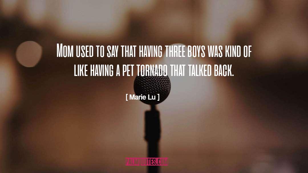 Sorrow Lossing A Pet quotes by Marie Lu