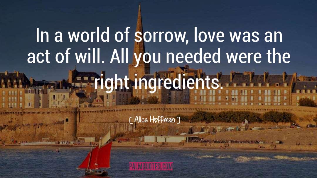 Sorrow Love quotes by Alice Hoffman
