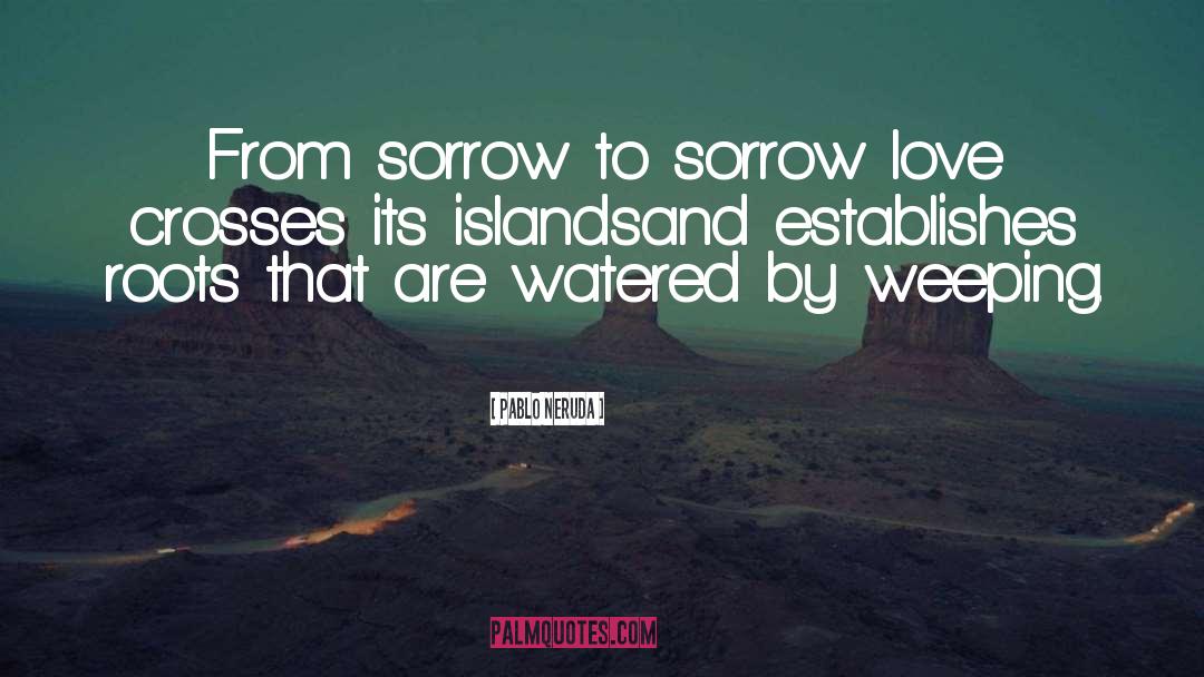 Sorrow Love quotes by Pablo Neruda