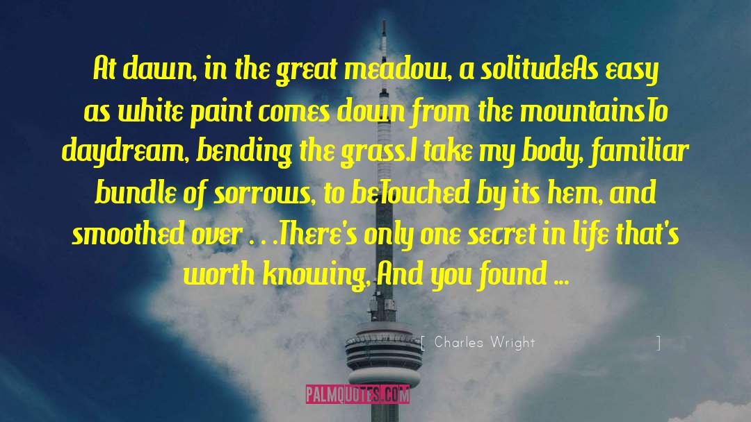 Sorrows quotes by Charles Wright