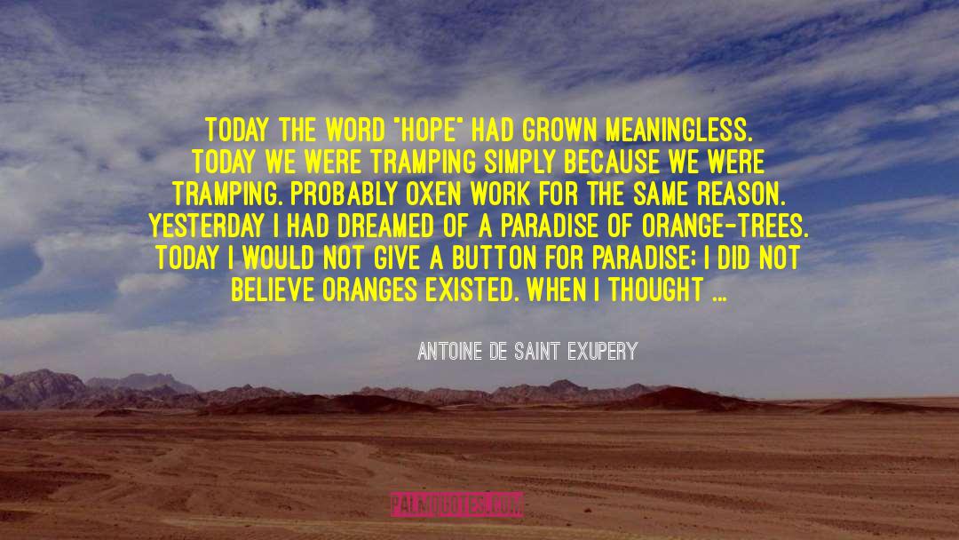 Sorry For Yesterday quotes by Antoine De Saint Exupery