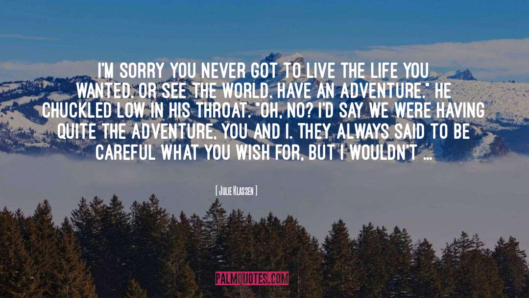 Sorry I Always Hurt You quotes by Julie Klassen