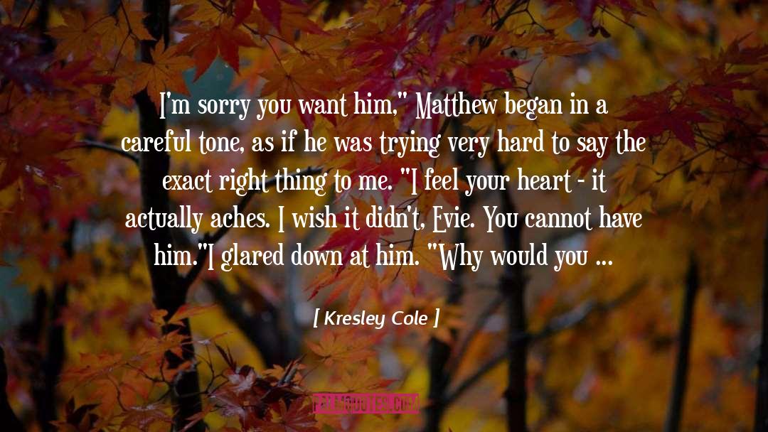 Sorry If I Say Something Wrong quotes by Kresley Cole