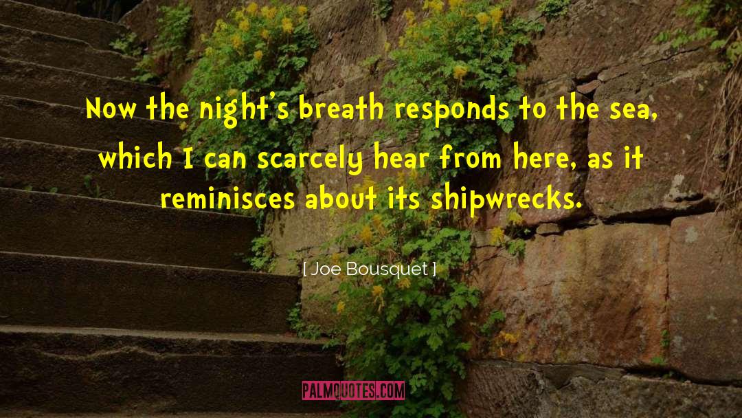 Sorry Night quotes by Joe Bousquet
