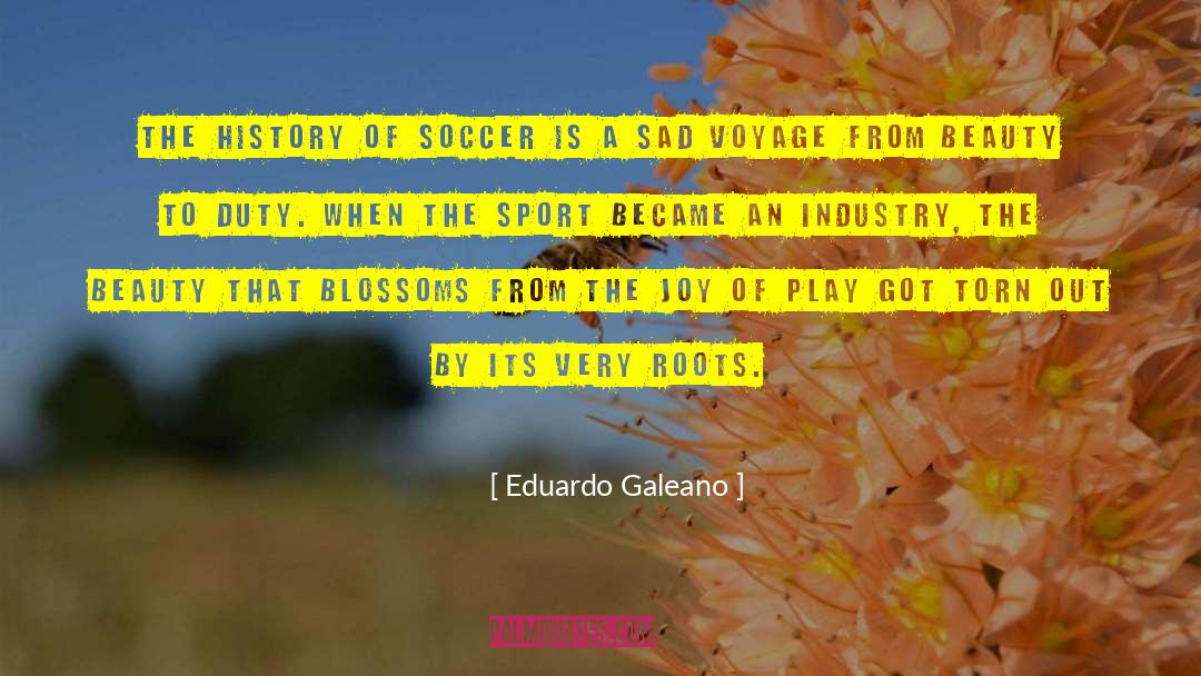 Sort Of Sad quotes by Eduardo Galeano