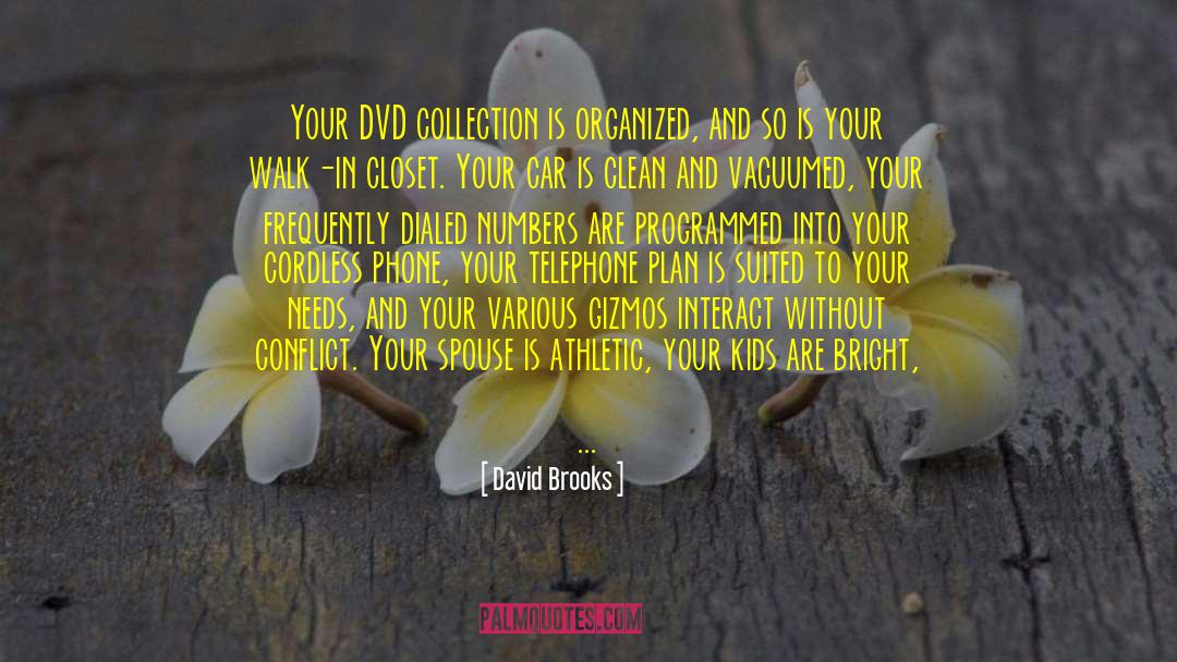 Sortie Dvd quotes by David Brooks