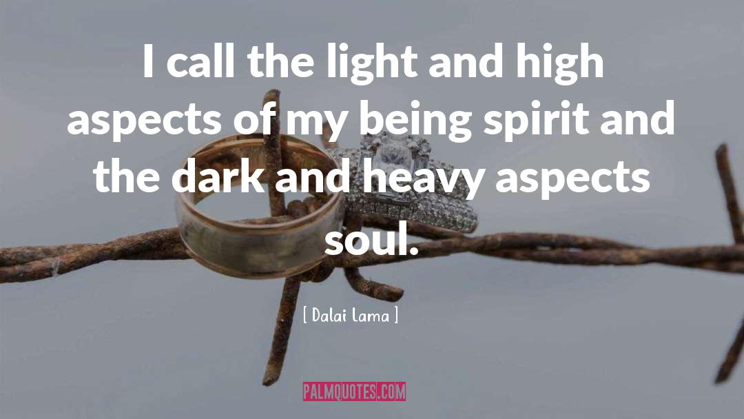 Soul Abuse quotes by Dalai Lama