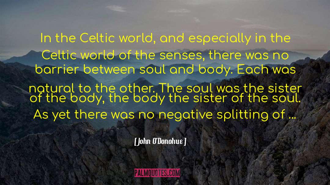 Soul And Body quotes by John O'Donohue