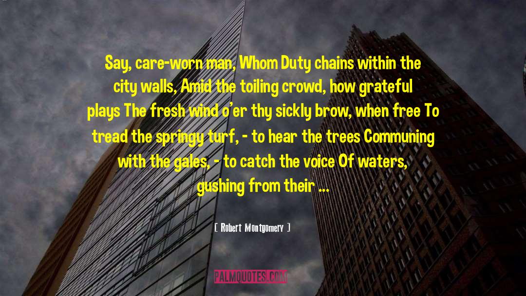 Soul And Nature quotes by Robert Montgomery
