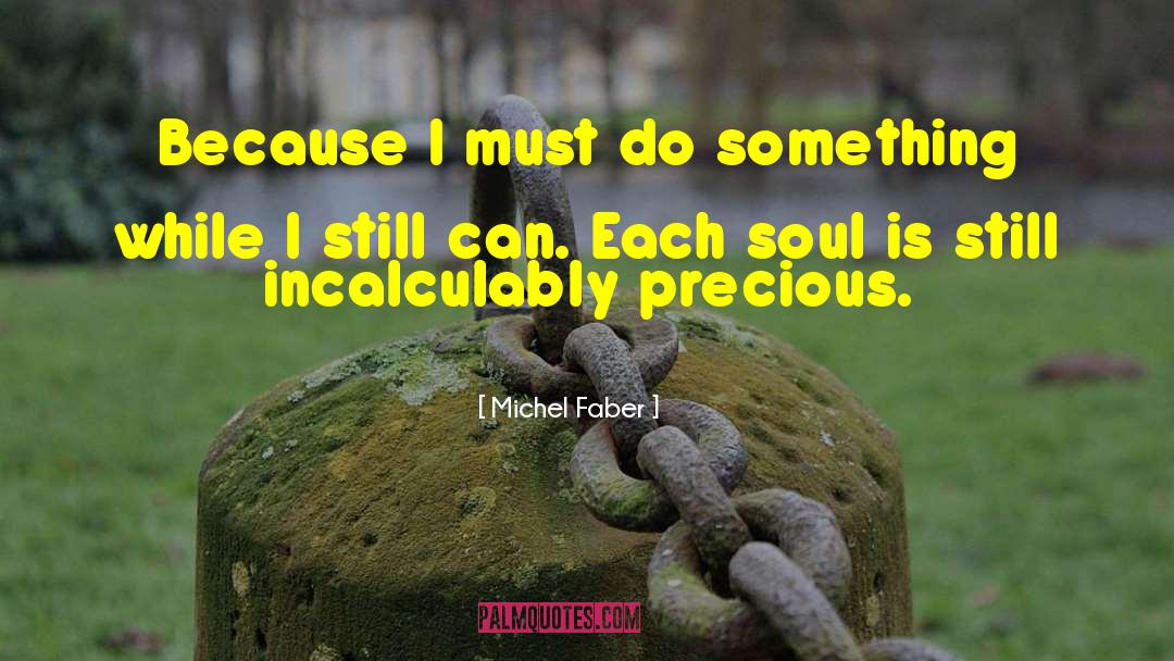 Soul Beauty quotes by Michel Faber