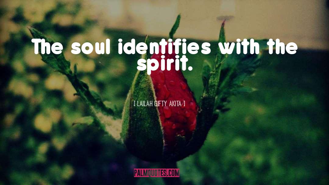 Soul Biography quotes by Lailah Gifty Akita