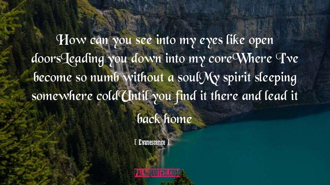 Soul Bond quotes by Evanescence