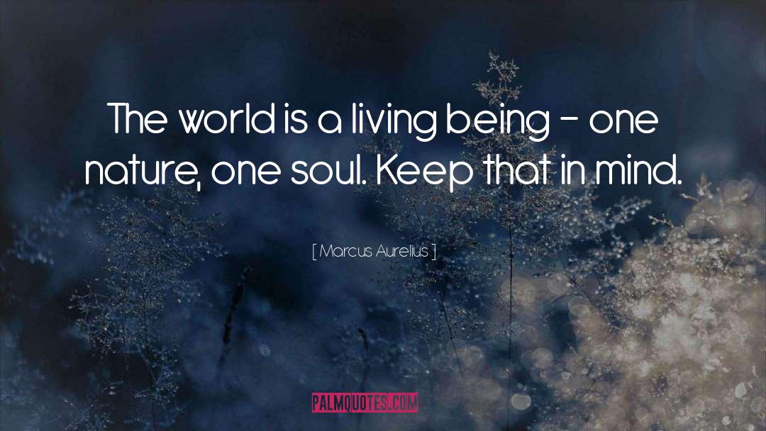 Soul Calling quotes by Marcus Aurelius