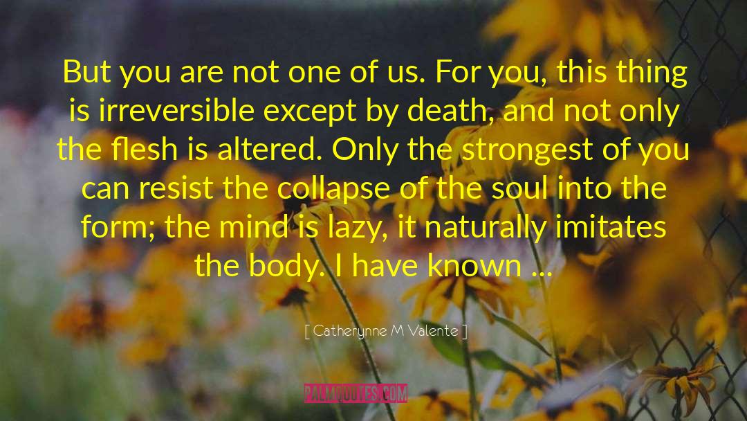 Soul Care quotes by Catherynne M Valente