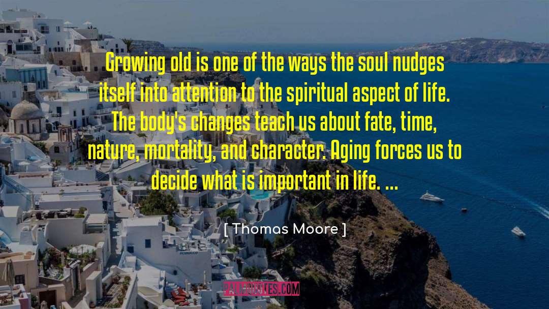 Soul Care quotes by Thomas Moore