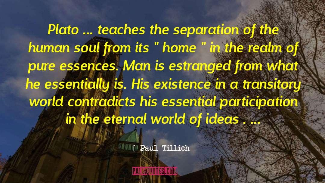 Soul Essence quotes by Paul Tillich