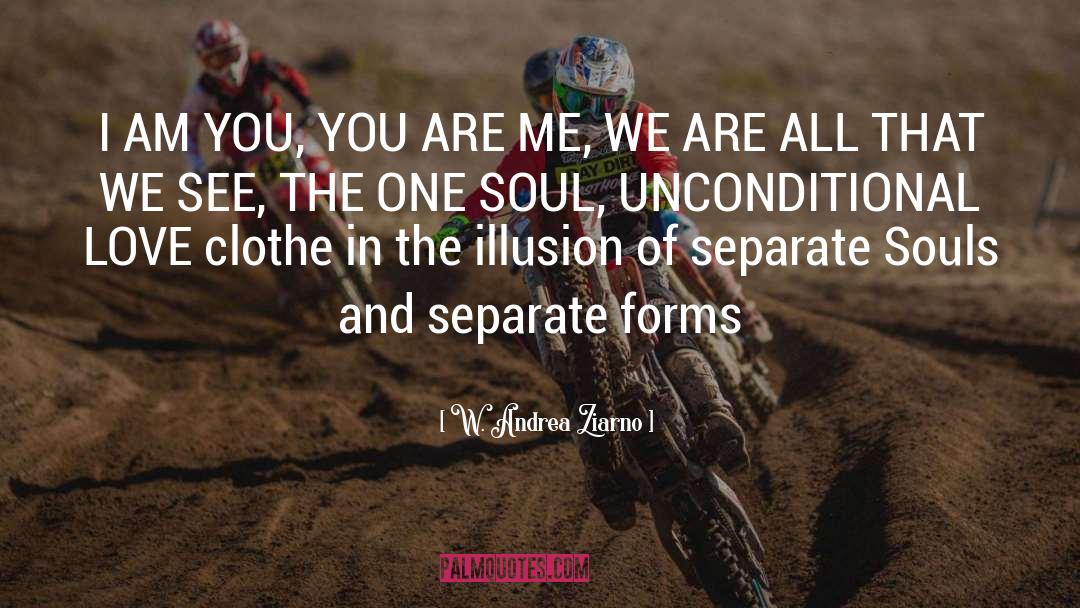 Soul Families quotes by W. Andrea Ziarno