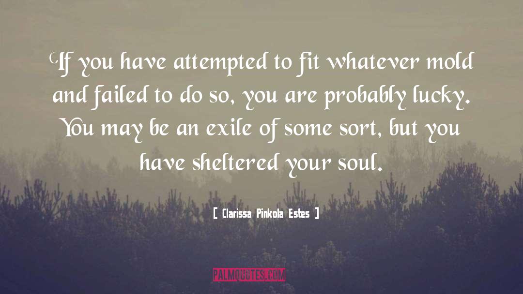 Soul Food quotes by Clarissa Pinkola Estes