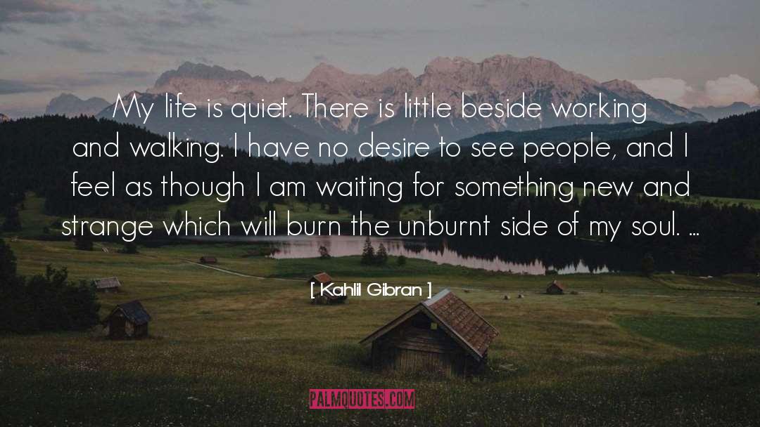 Soul Gazing quotes by Kahlil Gibran