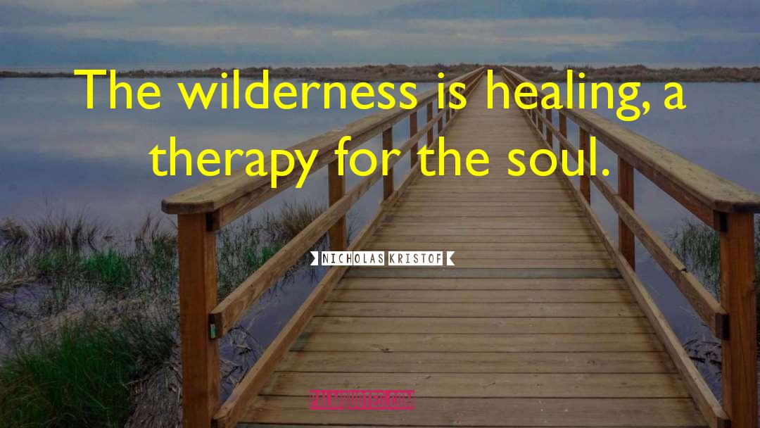 Soul Healing quotes by Nicholas Kristof