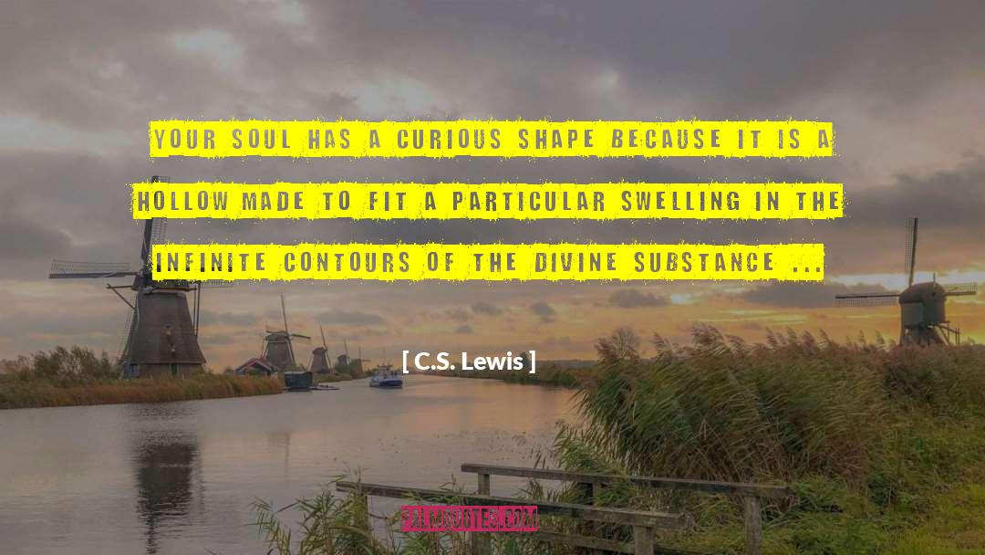 Soul History quotes by C.S. Lewis