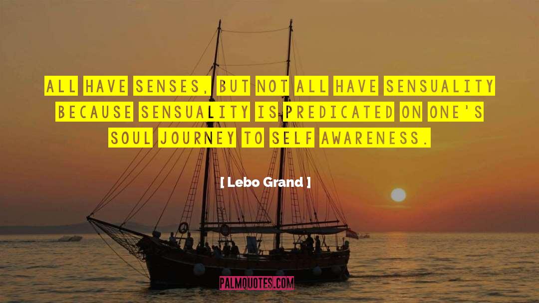 Soul Journey quotes by Lebo Grand