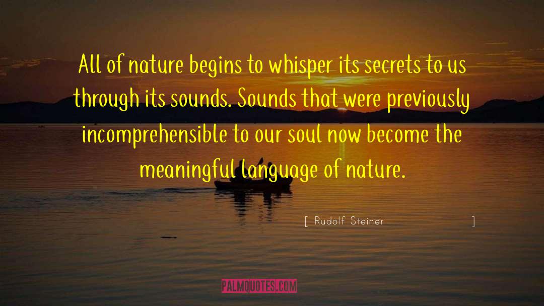 Soul Language quotes by Rudolf Steiner