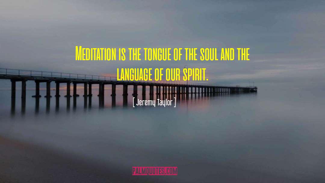 Soul Language quotes by Jeremy Taylor