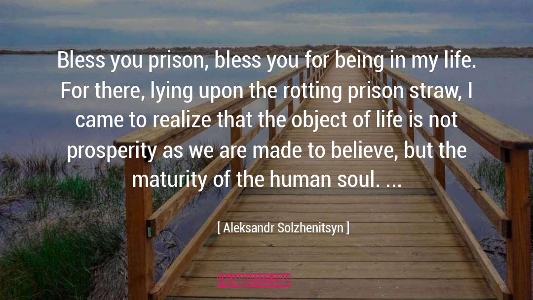 Soul Life quotes by Aleksandr Solzhenitsyn