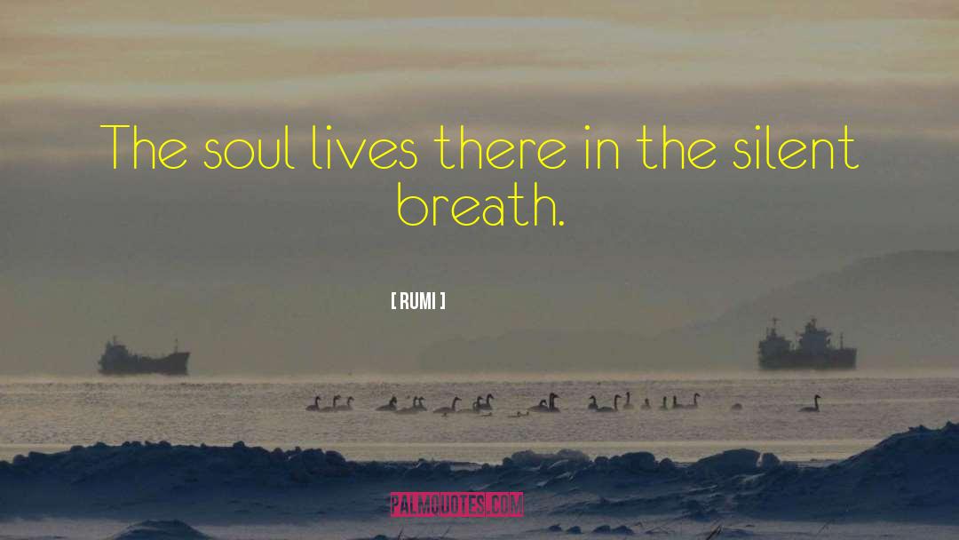 Soul Life quotes by Rumi