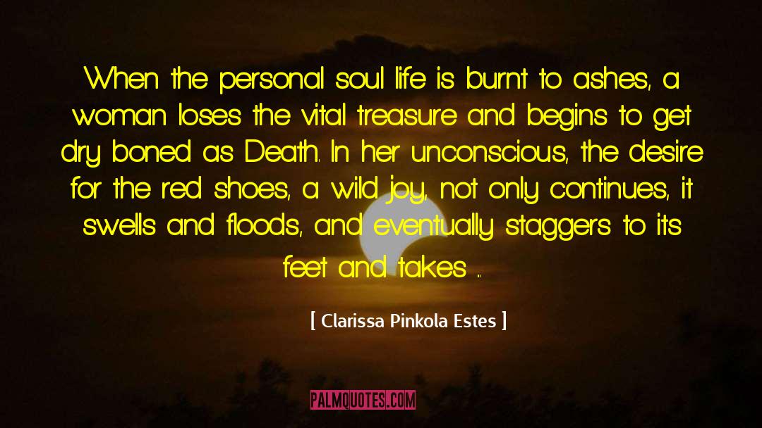 Soul Life quotes by Clarissa Pinkola Estes