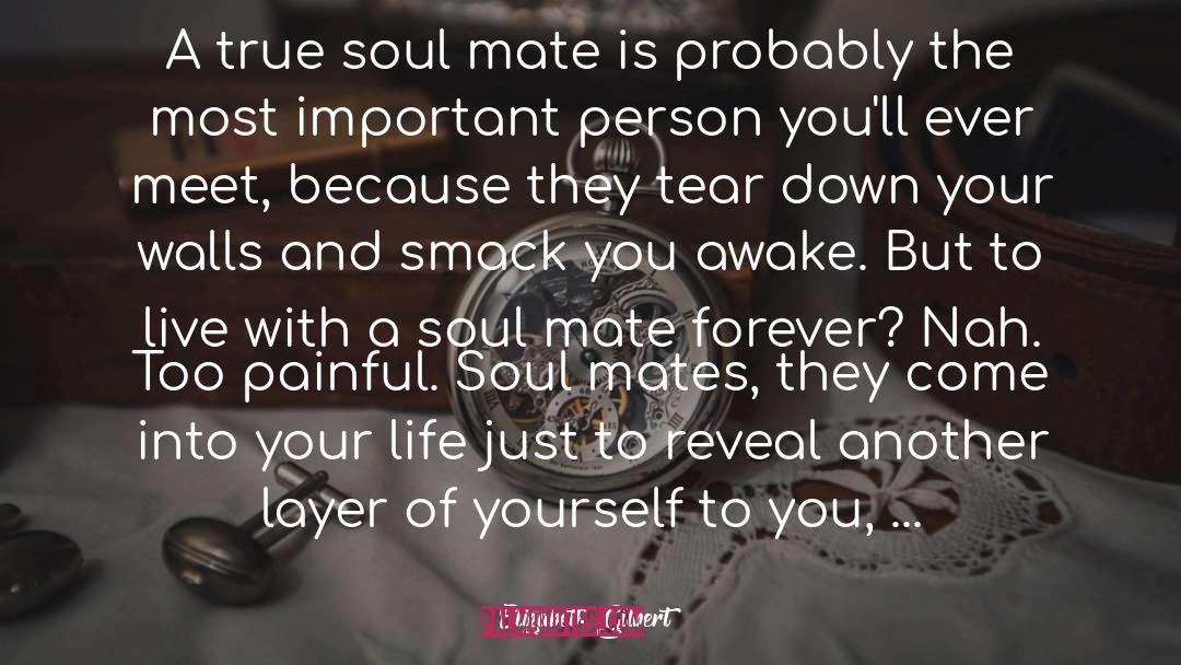 Soul Mates quotes by Elizabeth Gilbert