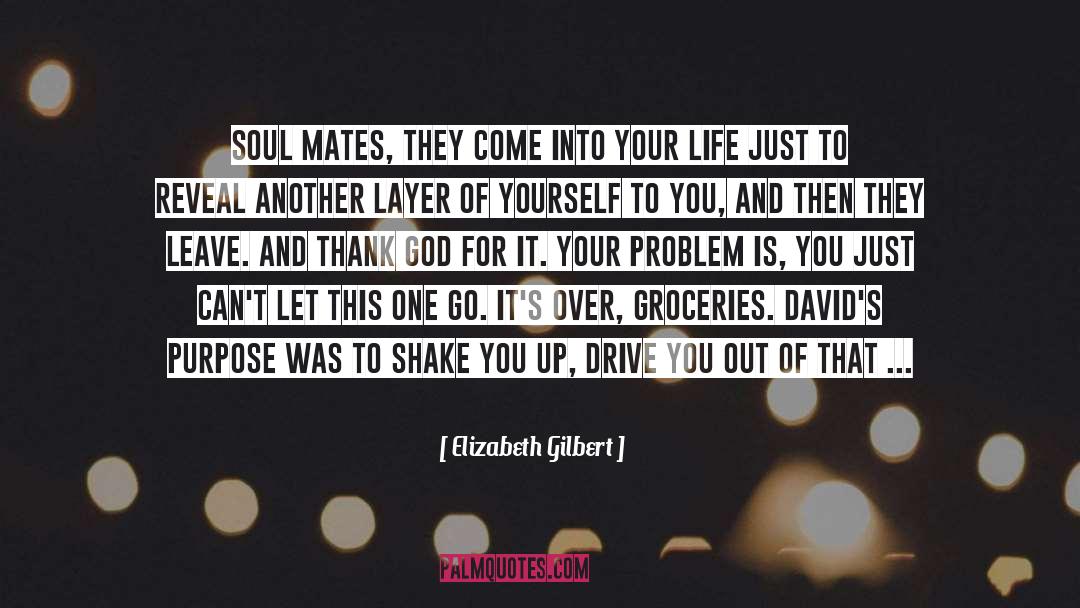 Soul Mates quotes by Elizabeth Gilbert
