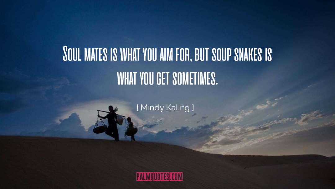 Soul Mates quotes by Mindy Kaling