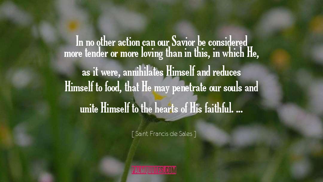 Soul Mission quotes by Saint Francis De Sales