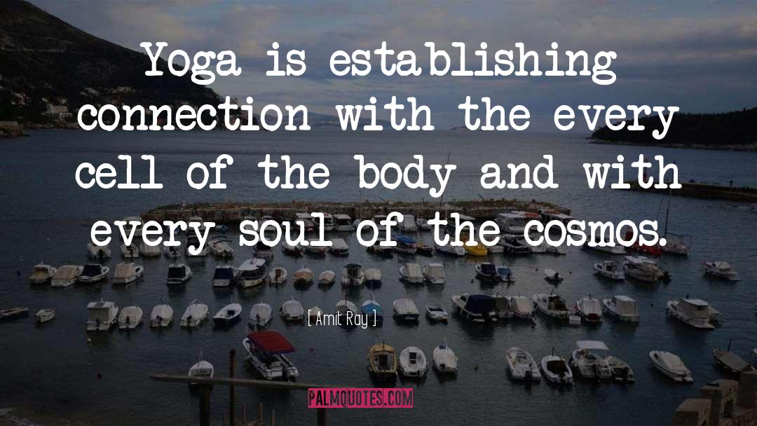 Soul Of The Cosmos quotes by Amit Ray