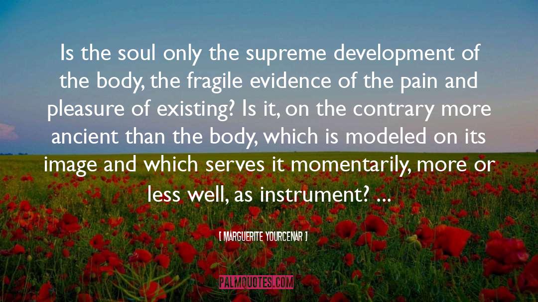 Soul Only Shoes quotes by Marguerite Yourcenar
