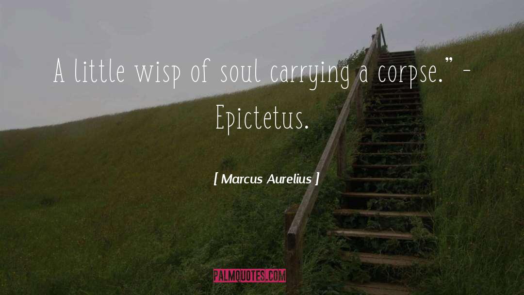 Soul Retrieval quotes by Marcus Aurelius