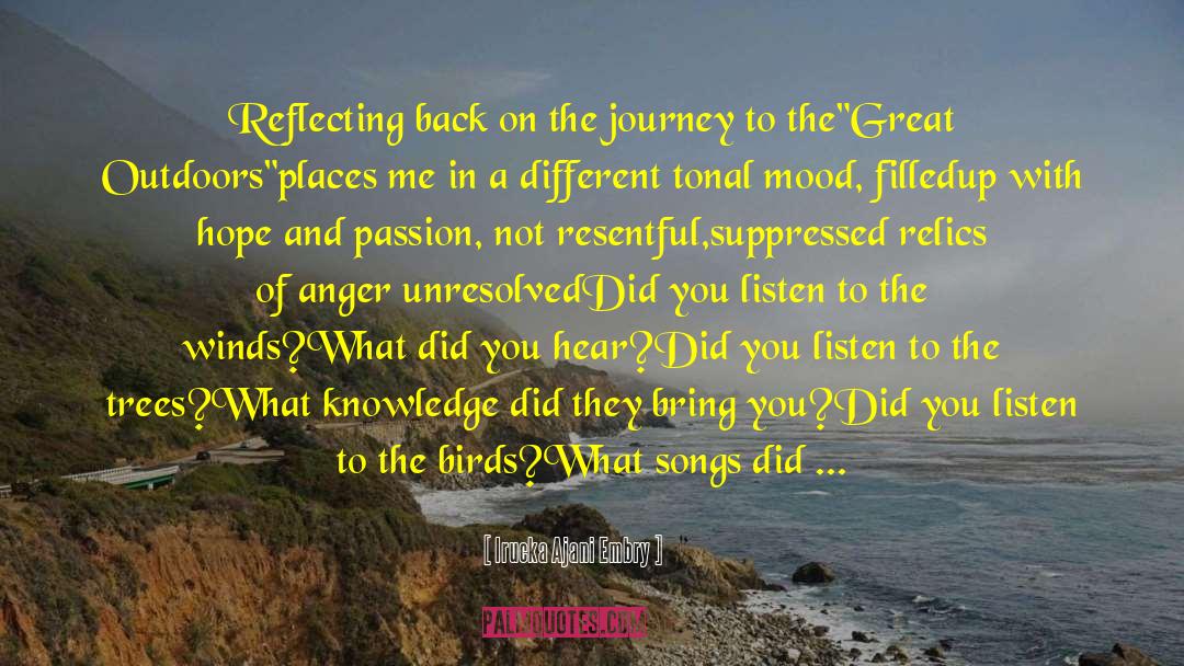 Soul S Journey quotes by Irucka Ajani Embry