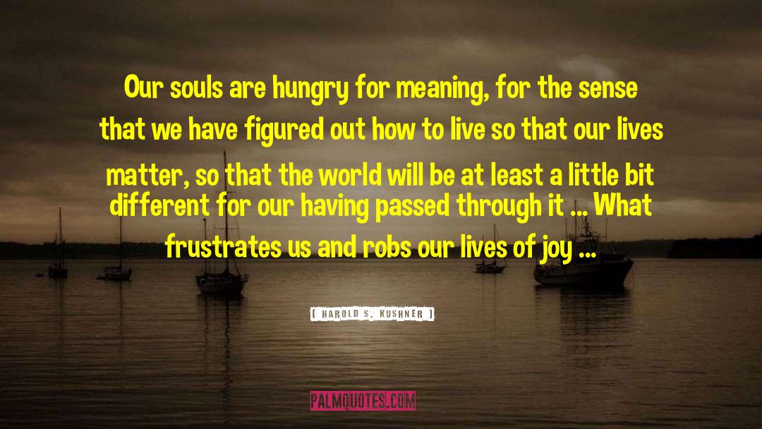 Soul S Tribe quotes by Harold S. Kushner