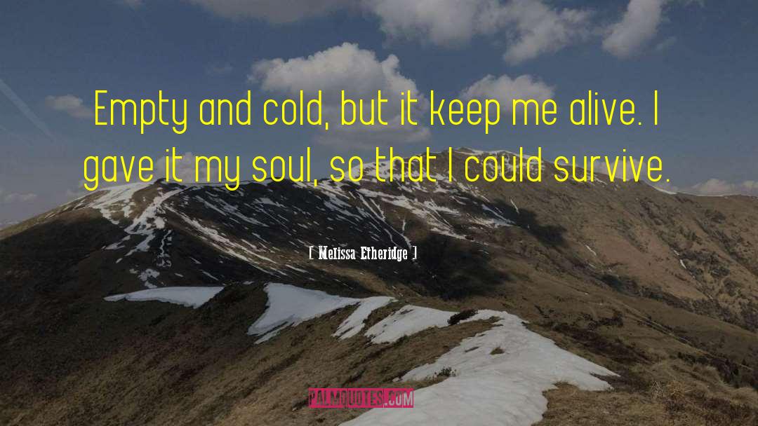 Soul Searcher quotes by Melissa Etheridge