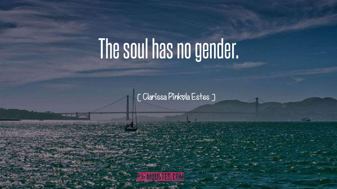 Soul Seeker quotes by Clarissa Pinkola Estes