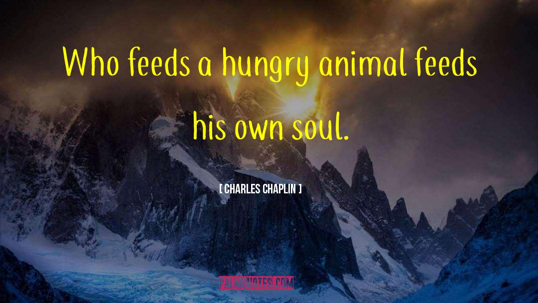 Soul Seeker quotes by Charles Chaplin