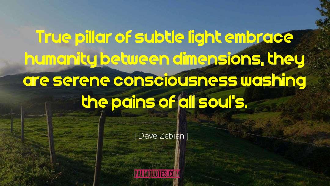 Soul Sings quotes by Dave Zebian