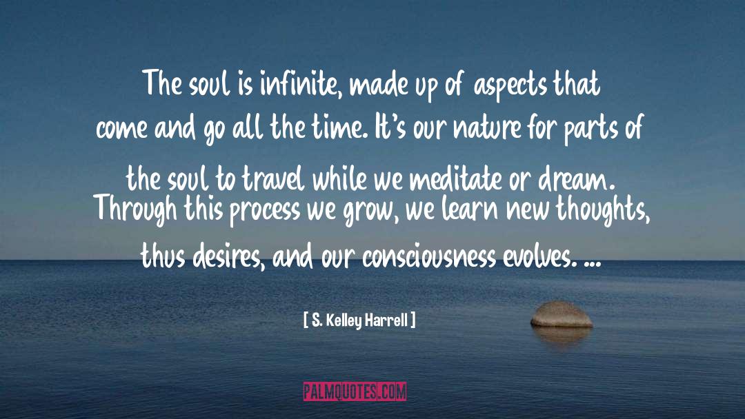 Soul Travel quotes by S. Kelley Harrell