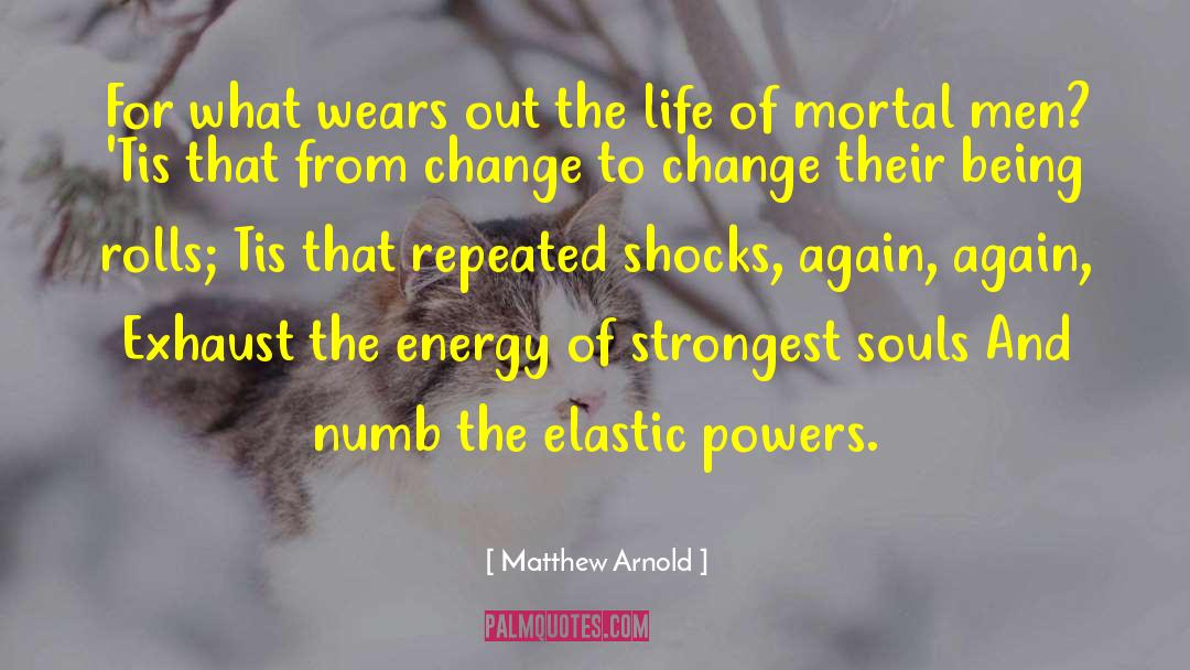 Soul Union quotes by Matthew Arnold